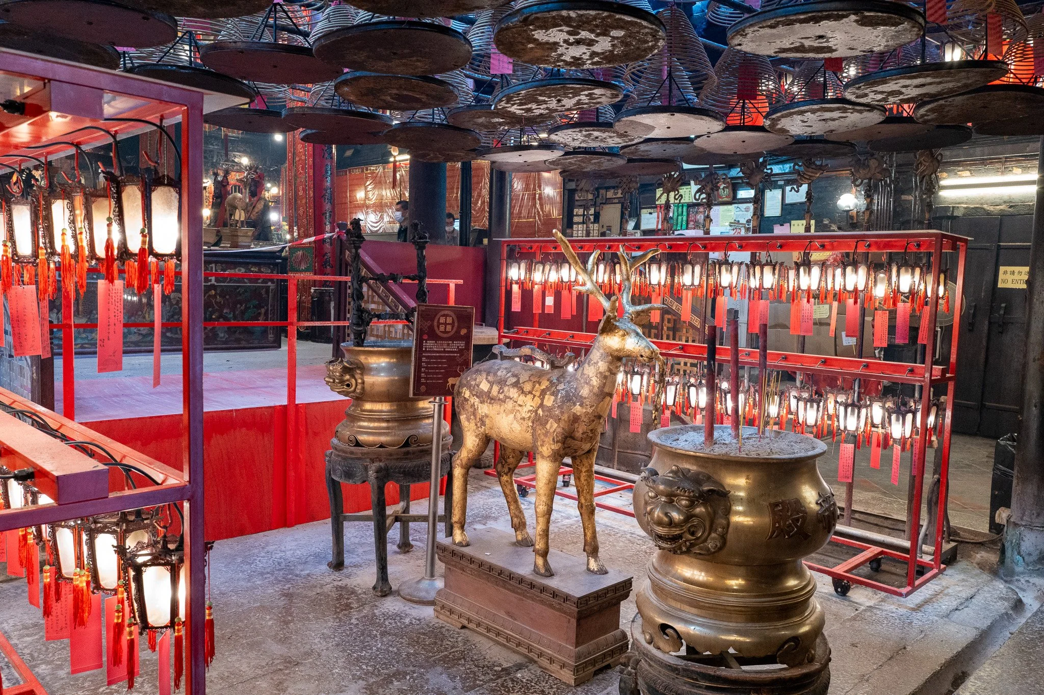 untitled_December 28, 2025_14561.jpg