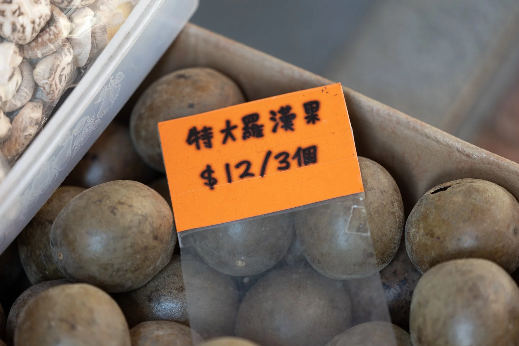 Hong Kong_December 28, 2025_12784.jpg