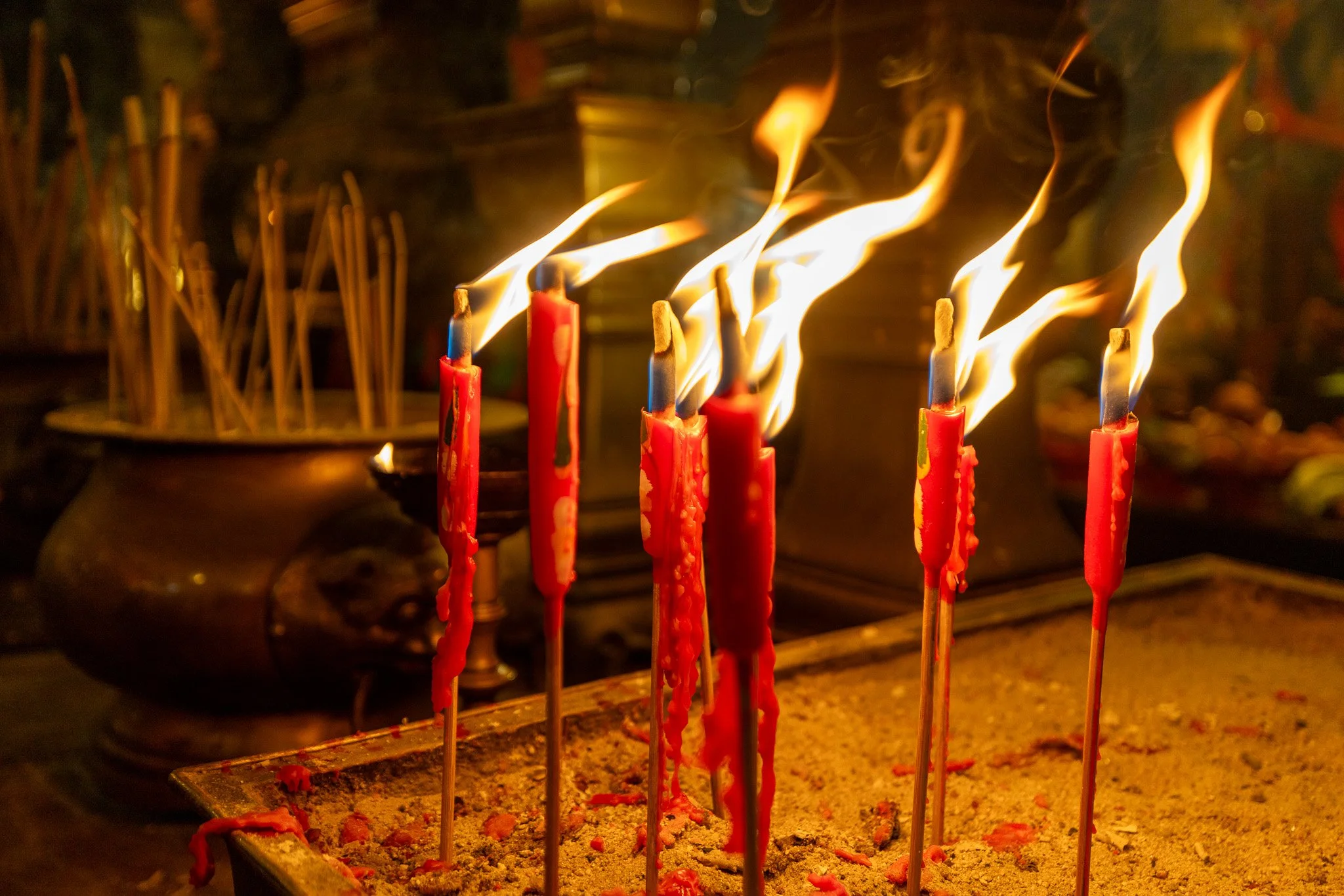 Hong Kong_December 29, 2025_12697.jpg