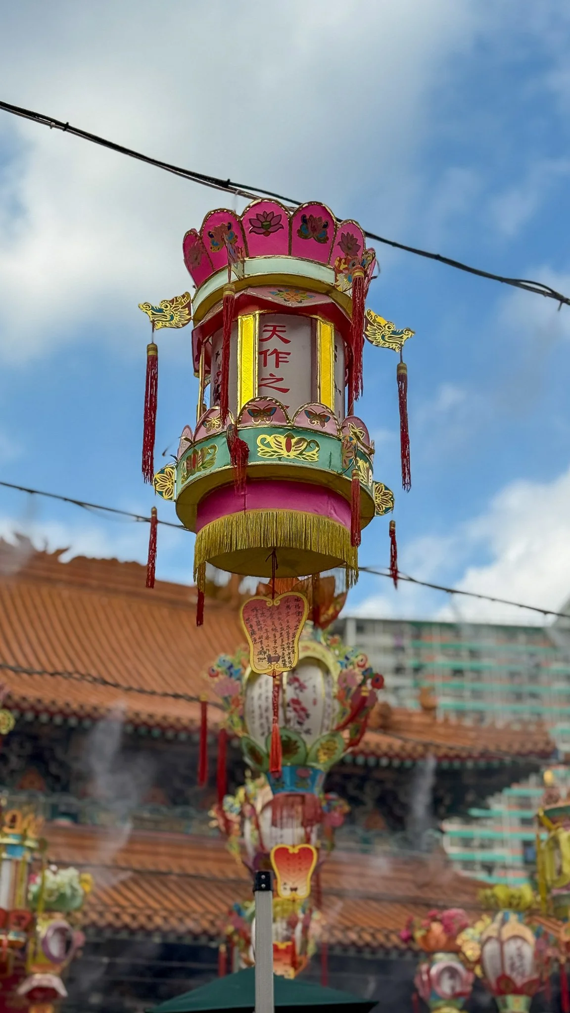 untitled_December 29, 2025_16905.jpg