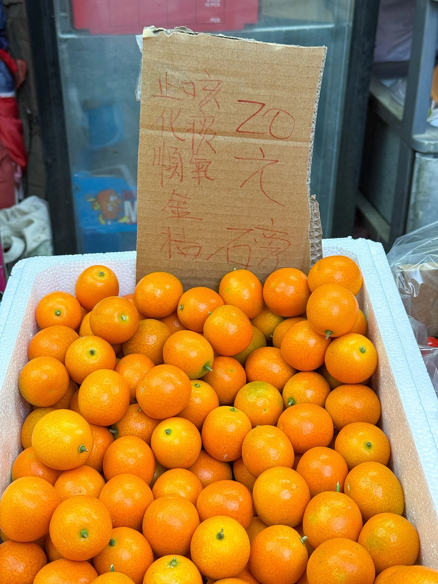 untitled_December 29, 2025_17001.jpg