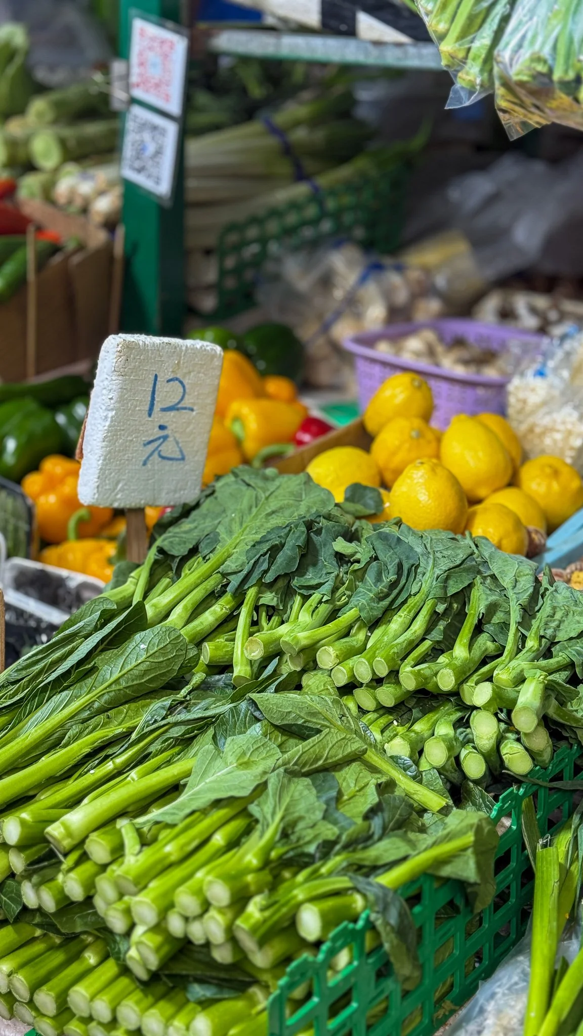 untitled_December 29, 2025_17010.jpg