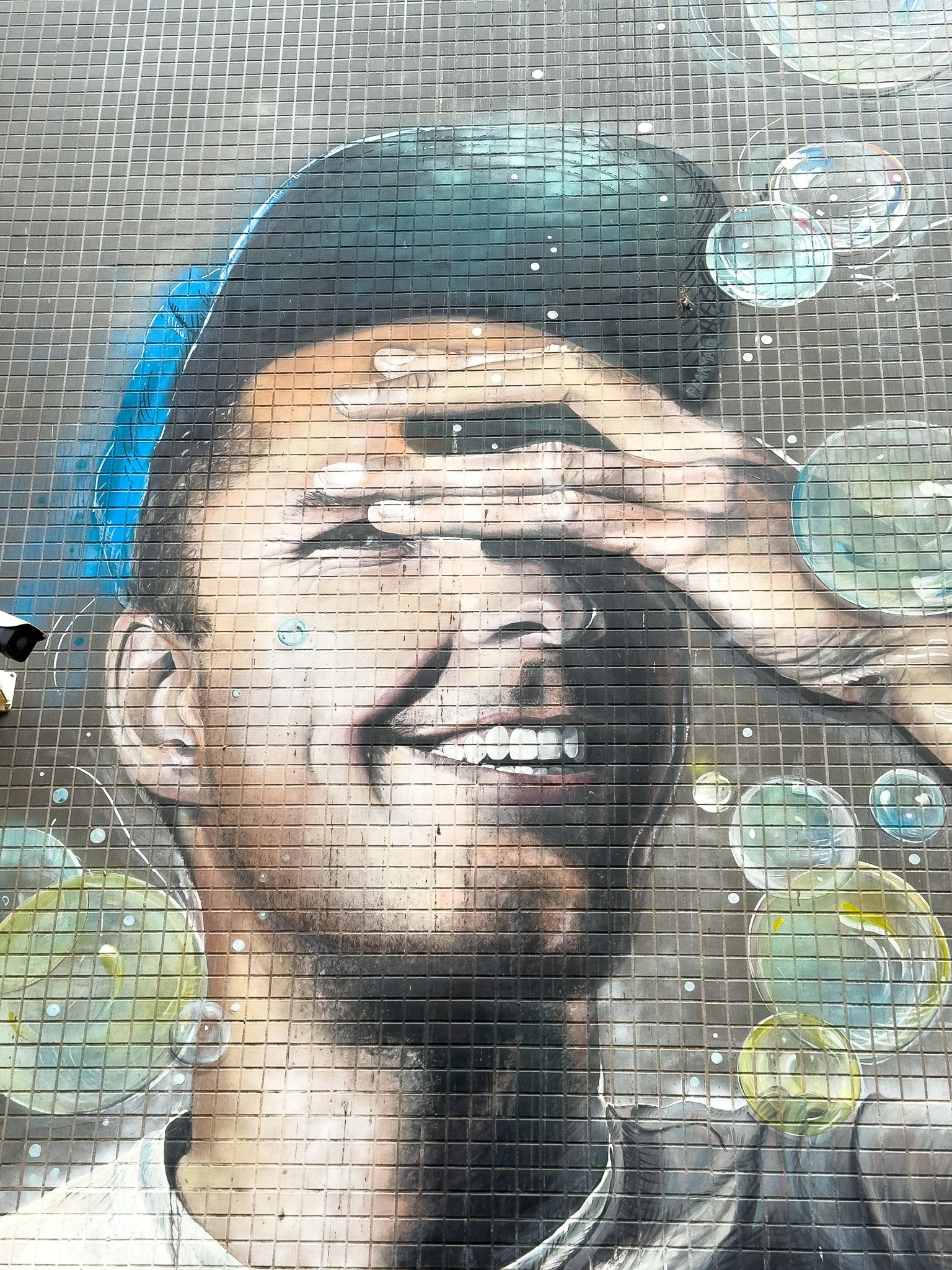 untitled_December 31, 2025_17190.jpg