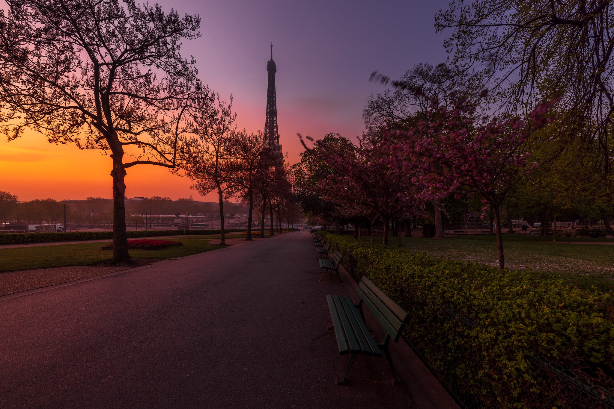 Paris__L9A5509__April 18, 2023.jpg