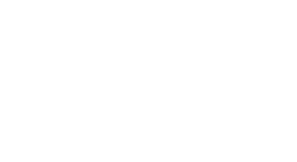 SophieBocher_ELEMENTS_VF_Plan de travail 1 copie 3.png