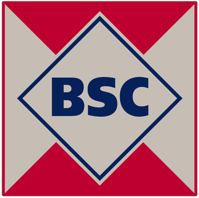 Baltic Shipping Company will organize the first pilot trip