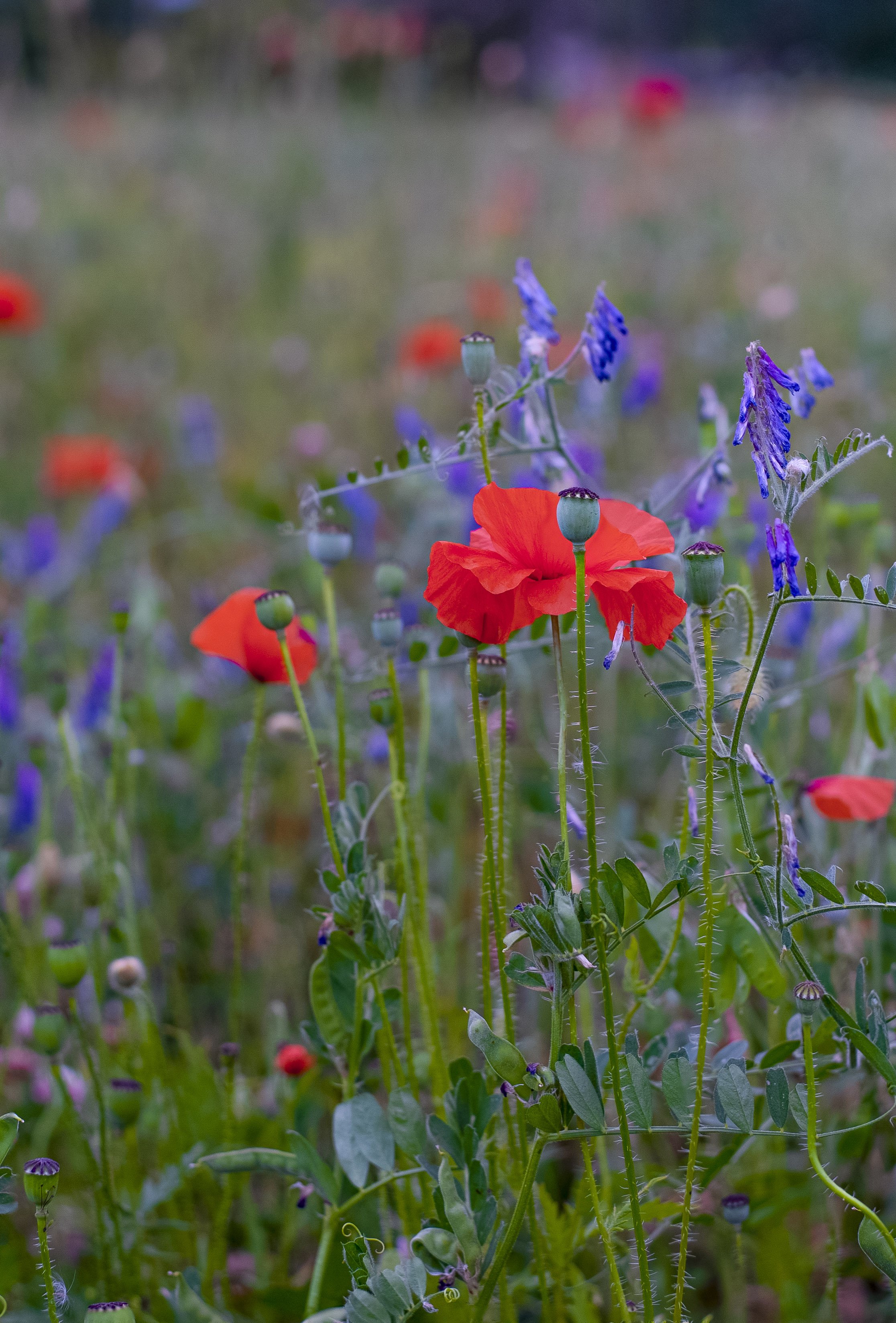 Photography training workshop and camera tuition_Northamptonshire