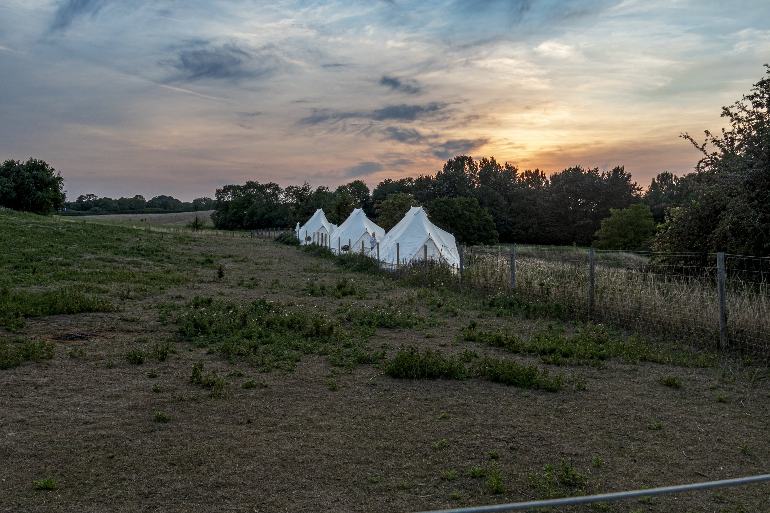 DSC_3488-HDR.jpg