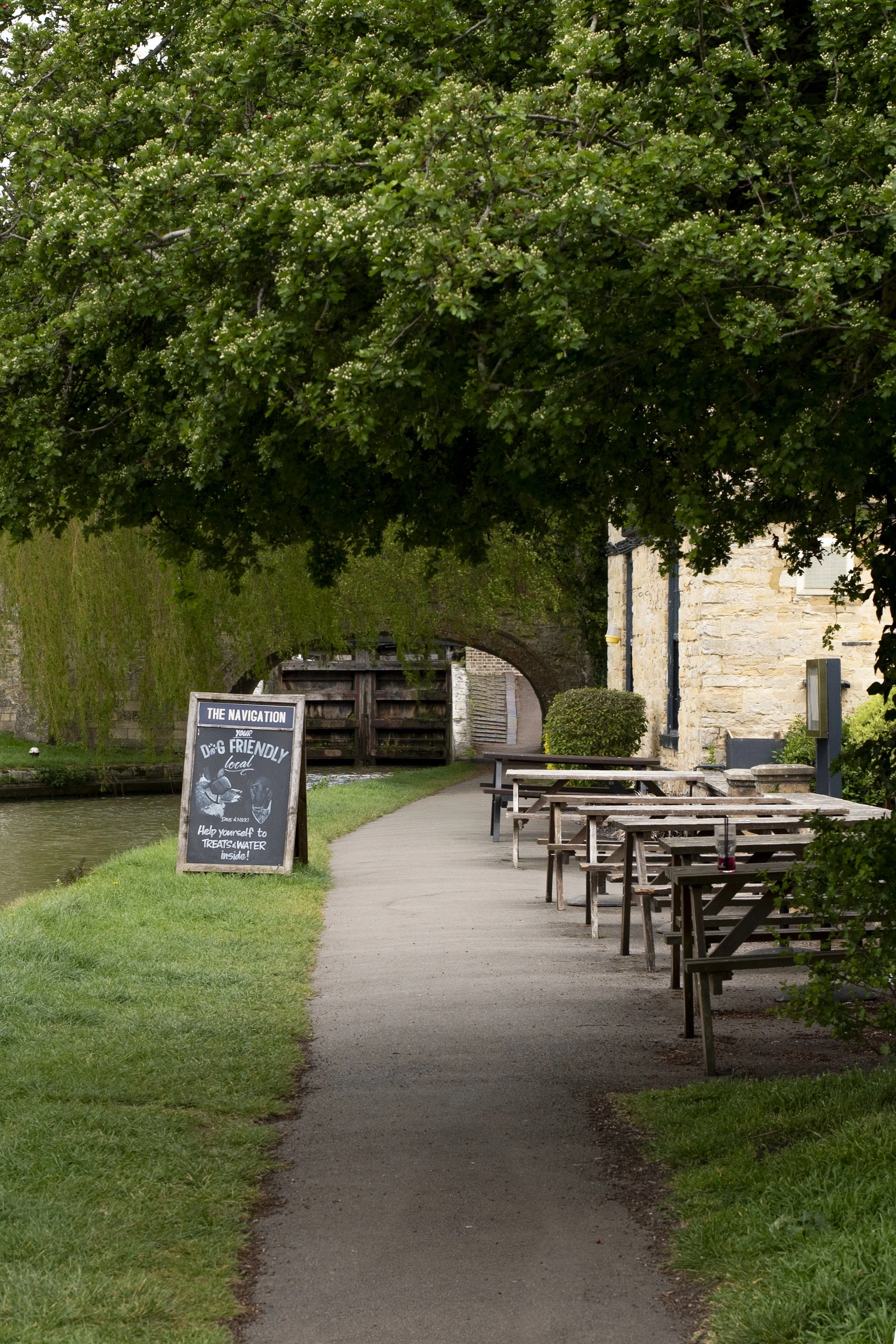 Outdoor patio area with wooden tables and benches next to a waterway, shaded by a large leafy tree, with a chalkboard sign promoting water treats and water-friendly navigation.