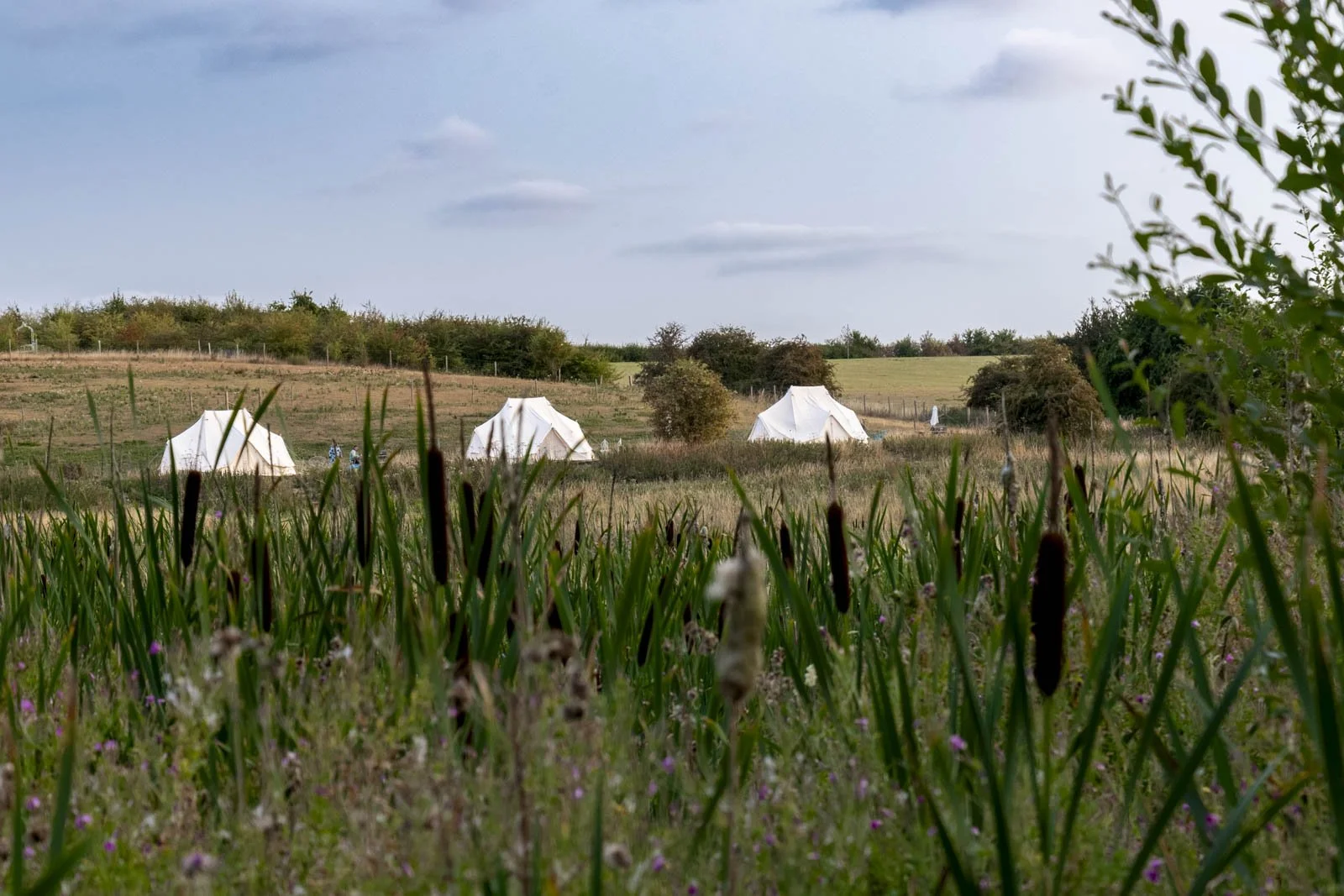 Hideaway Wood Farm (Daventry)