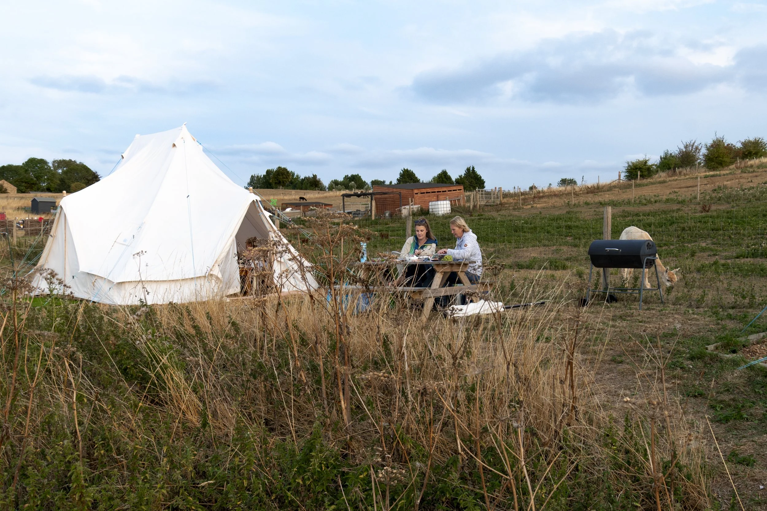 Two women sitting at a picnic table outside a white tent on a farm, with a black barbecue grill nearby and dry grass in the foreground during daytime.