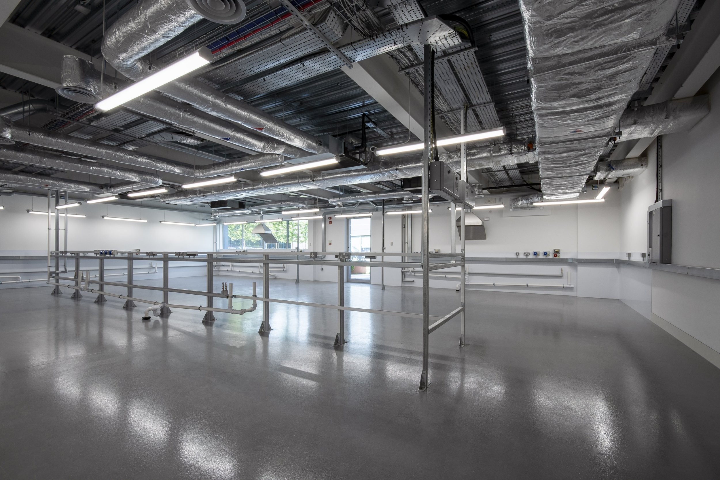 Warehouse with a polished grey floor, exposed ceiling services and strip lighting