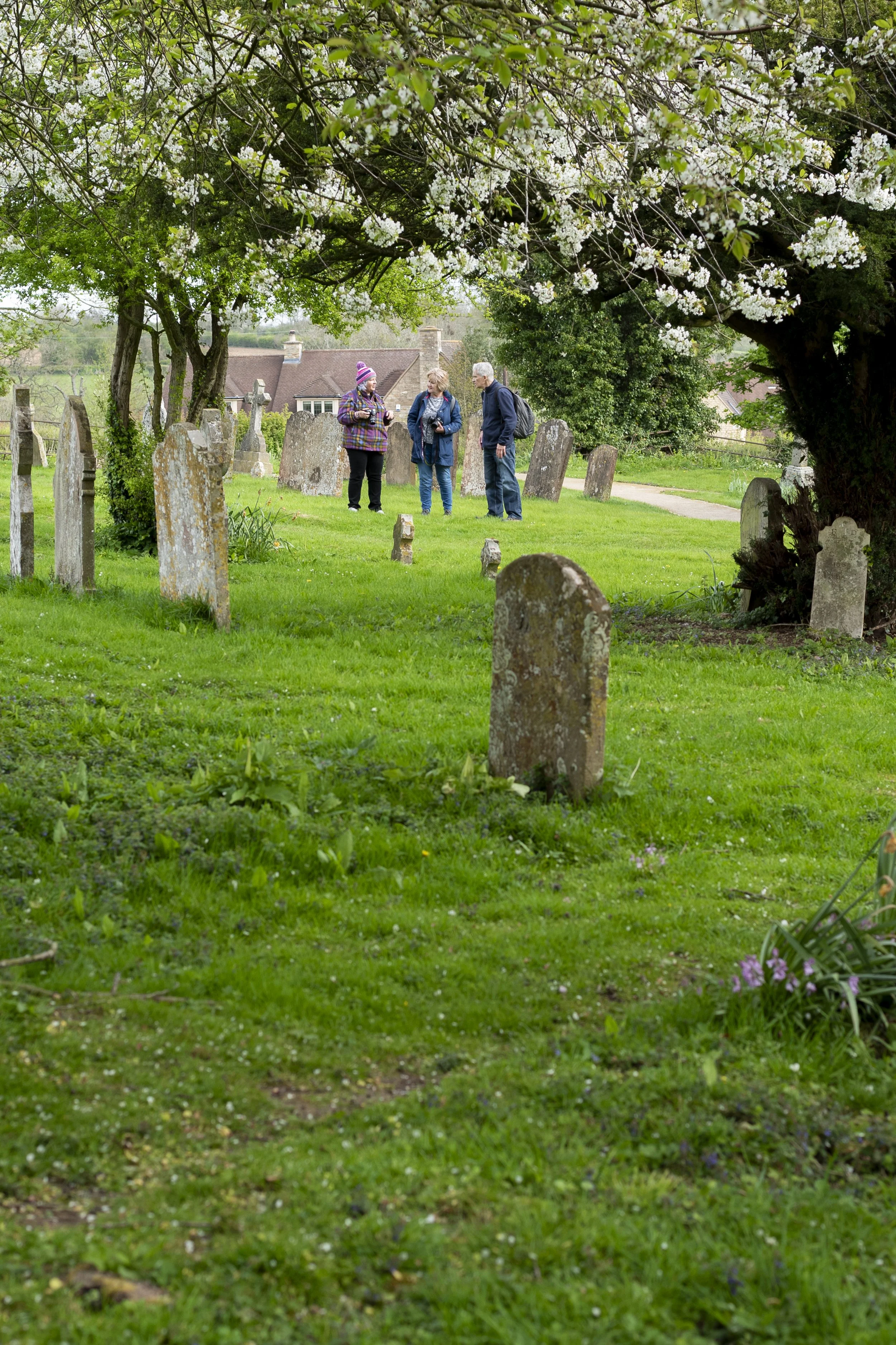 Three people talking in a grassy cemetery, surrounded by gravestones and flowering trees.