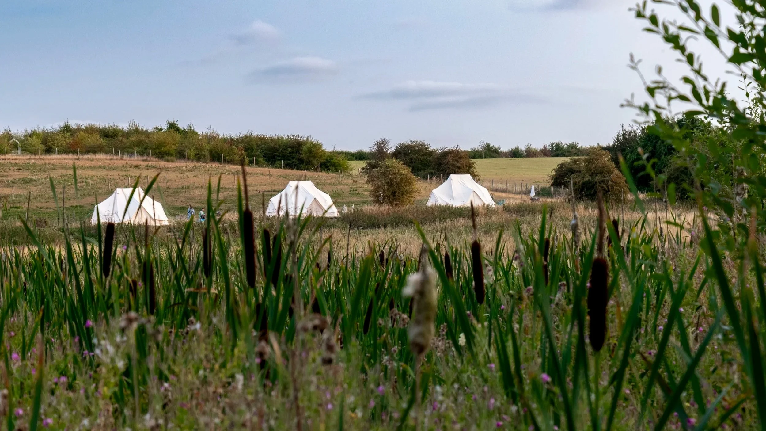 Atmospheric Lifestyle & Al Fresco Dining: Hideaway Wood Farm (Daventry)