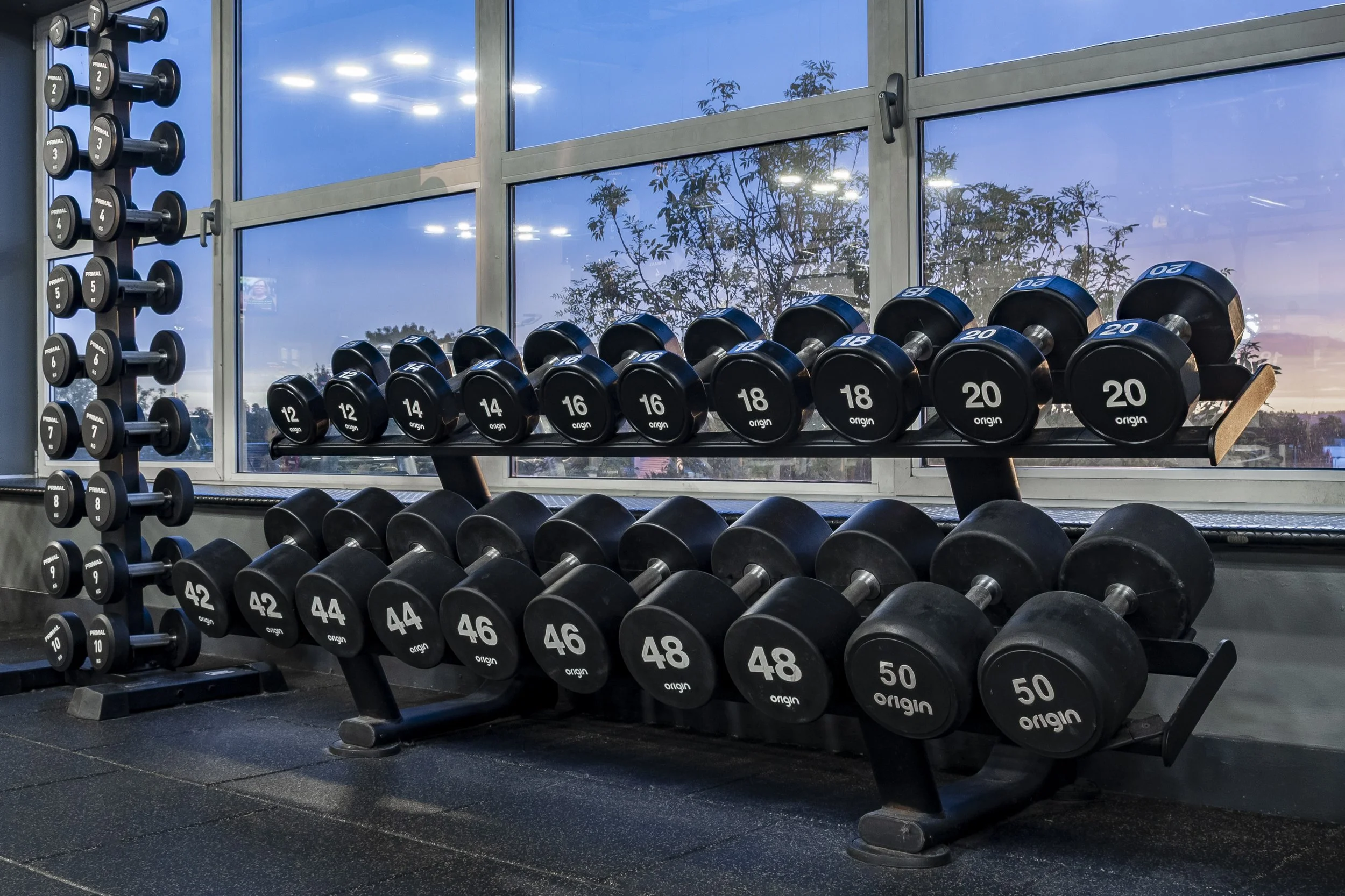 Rack of black dumbbells in front of a gym window with an evening sky
