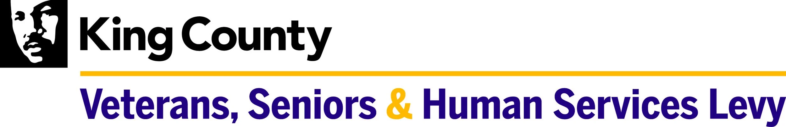 VSHSL_logo_color.jpg