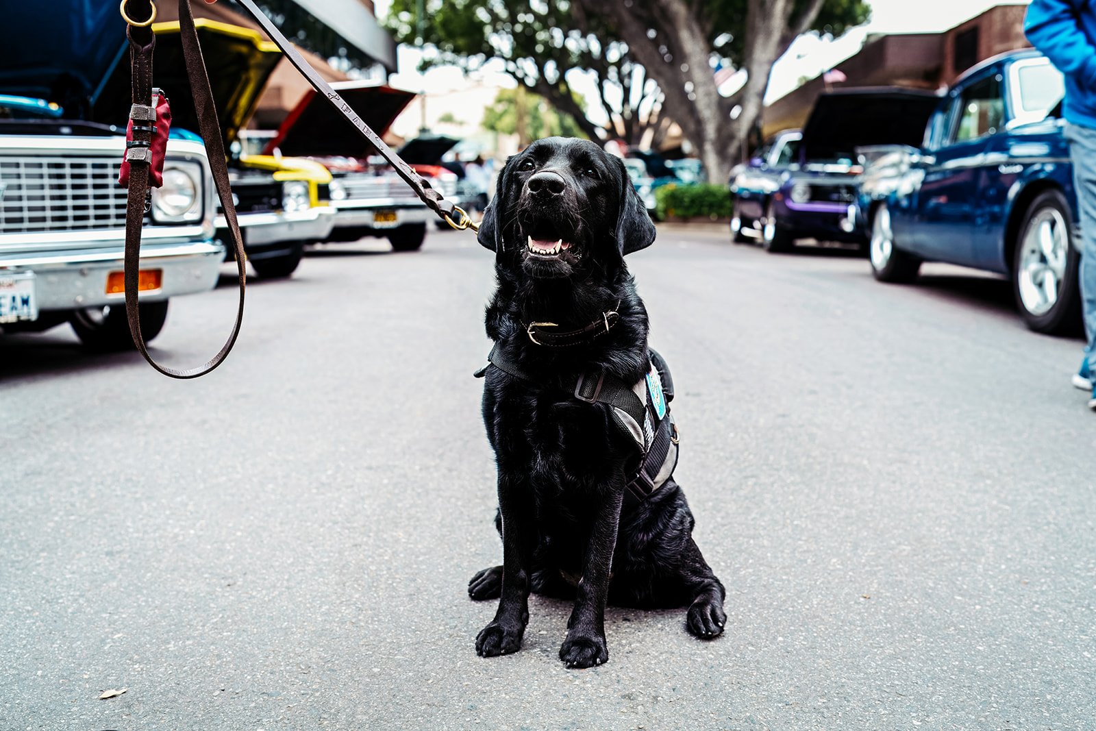 2025 CAR SHOW RFD-130.jpg