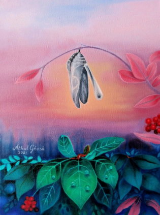 Tears of a Cocoon by Athul Ghosh