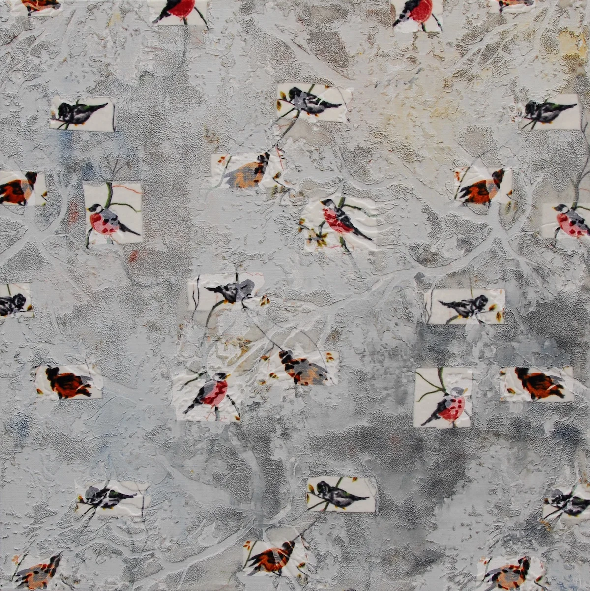 Spotting Daydream Birds While Looking Out Of The Window