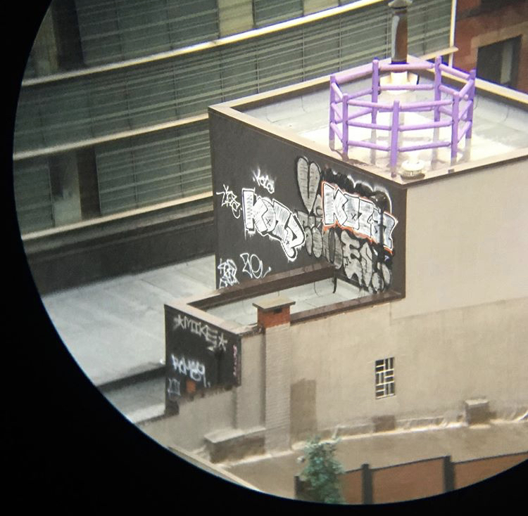  Nathaniel DeLarge &amp; Colleen Tuite’, "NoHuntingPurple14319,” was visible from the rooftop bar of the Hotel 50 Bowery. 