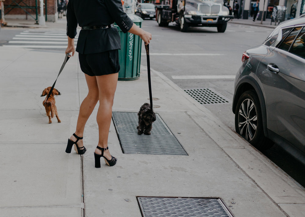 two+dogs+and+heels.jpg