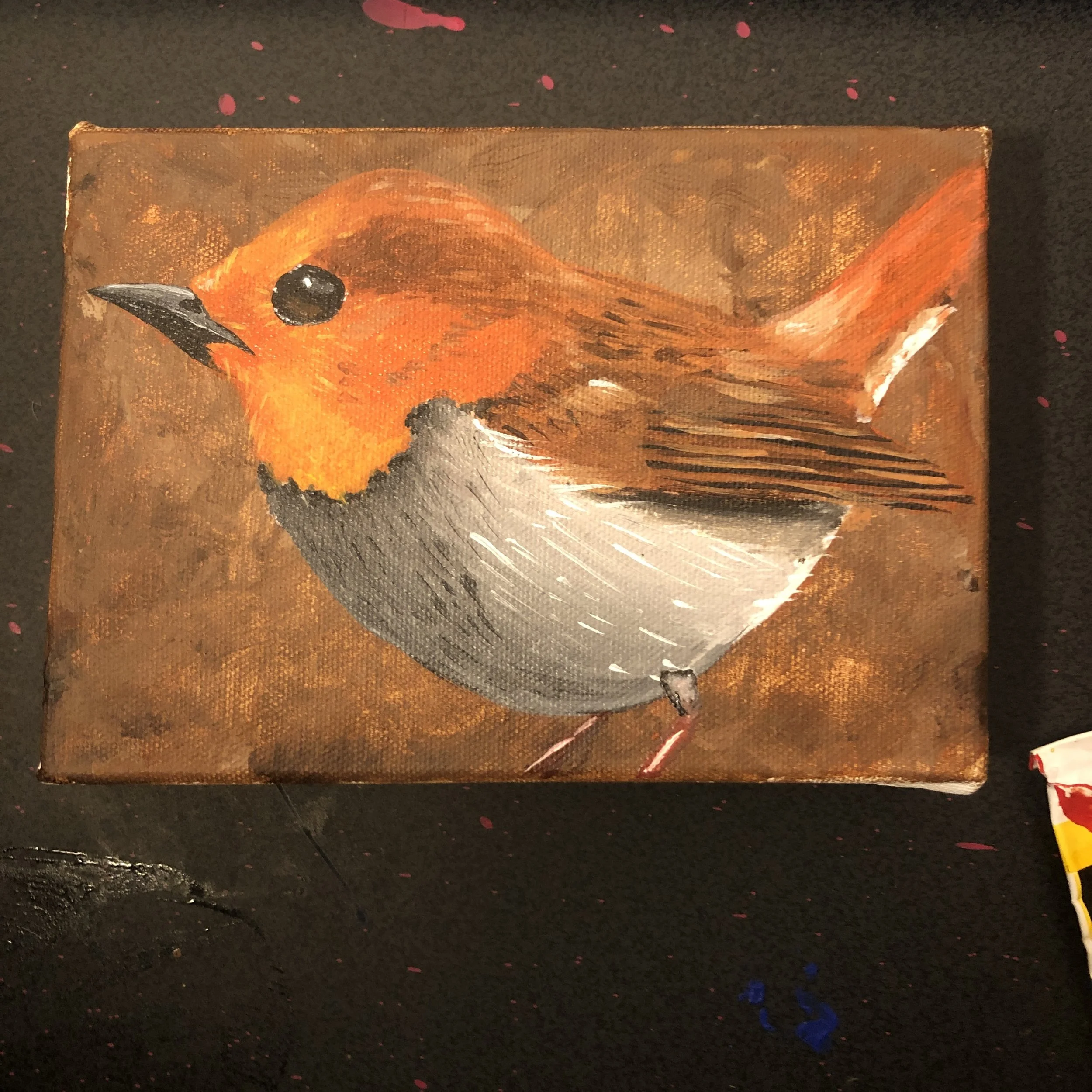 Bird Study