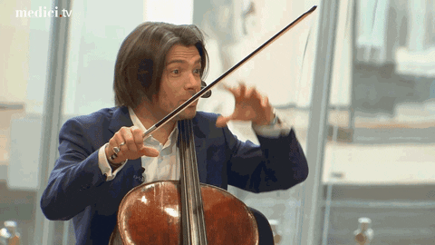 gc cello gif.gif