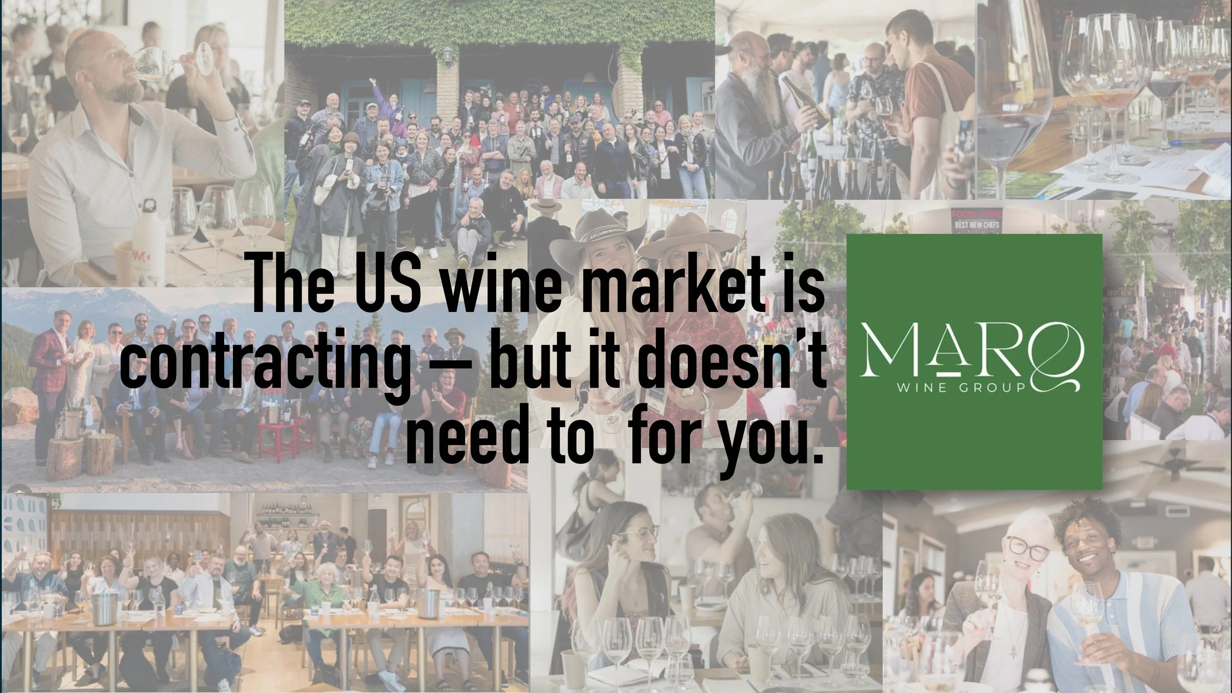 Marq Wine Group | US Wine Market Growth Consultants