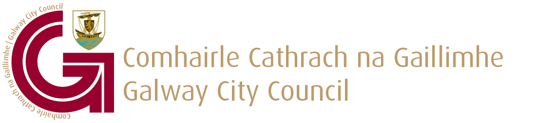 galway-city-council.png