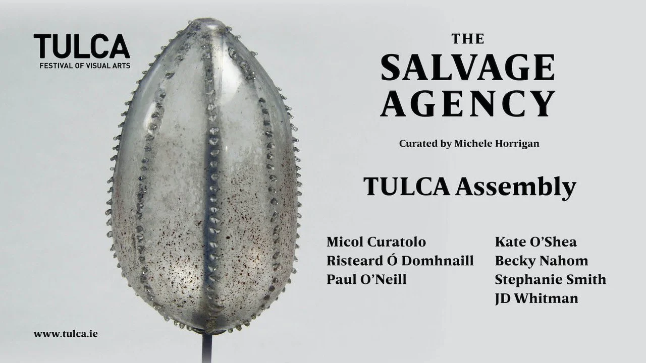 TULCA Assembly | PorterShed