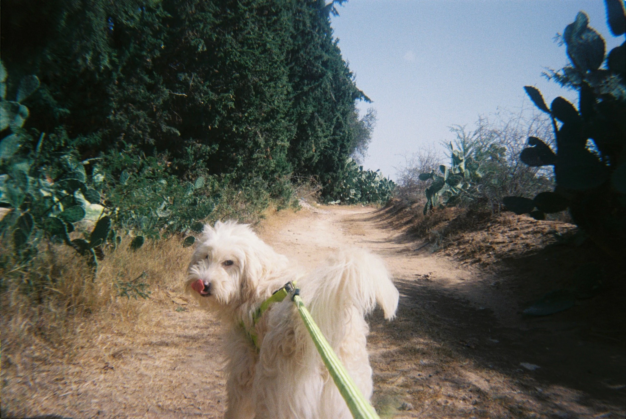 Mourad Ben Amor.jpeg