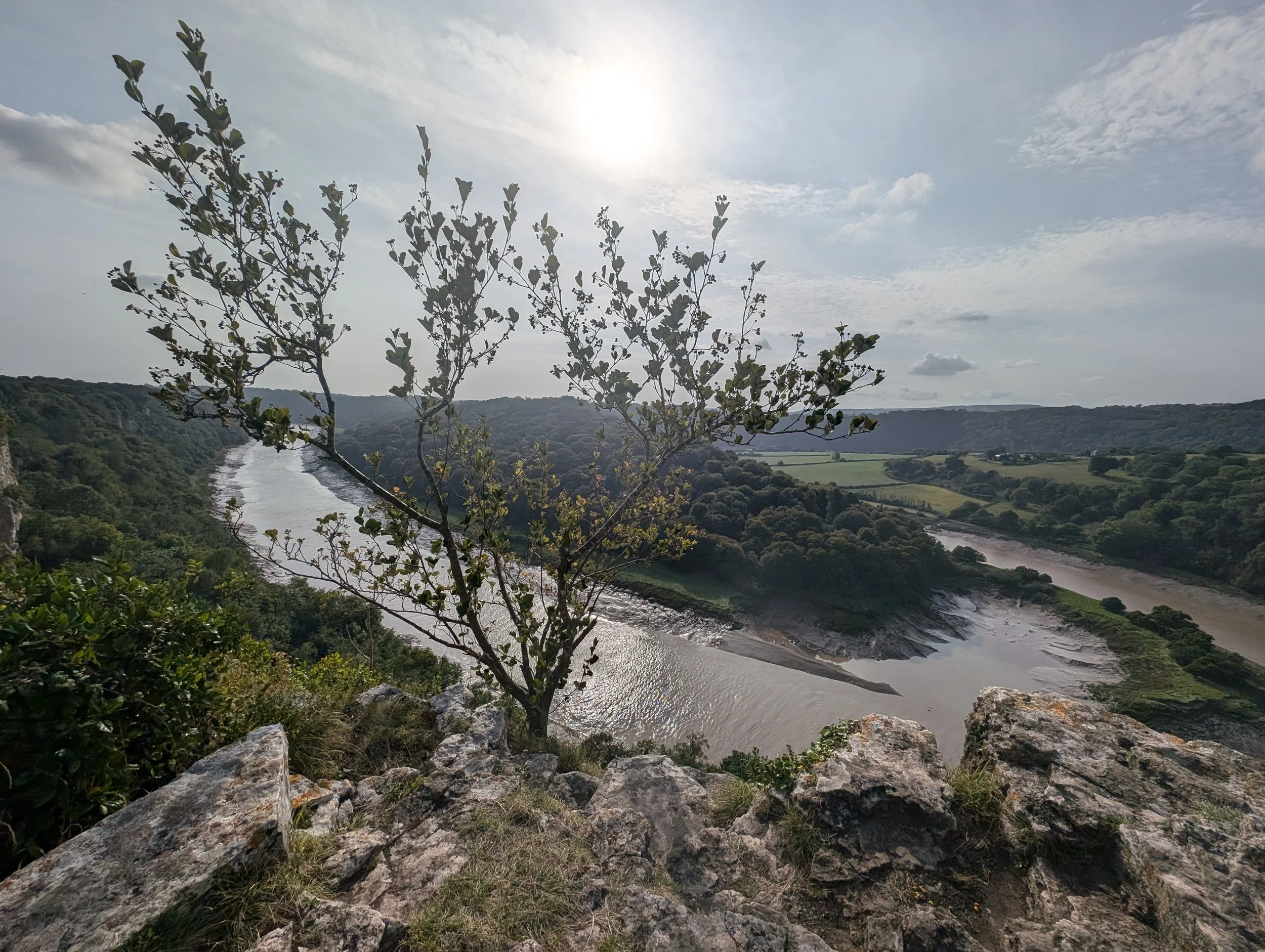 PXL_20240826_155116924 - Durre Shahwar.jpg