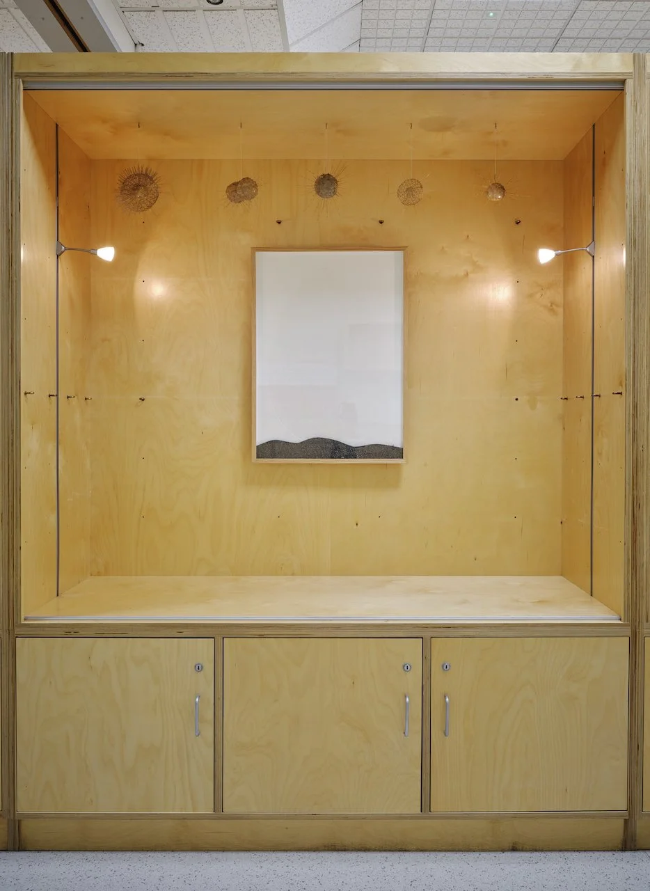 TUL1125SLprelim015 cropped.jpeg