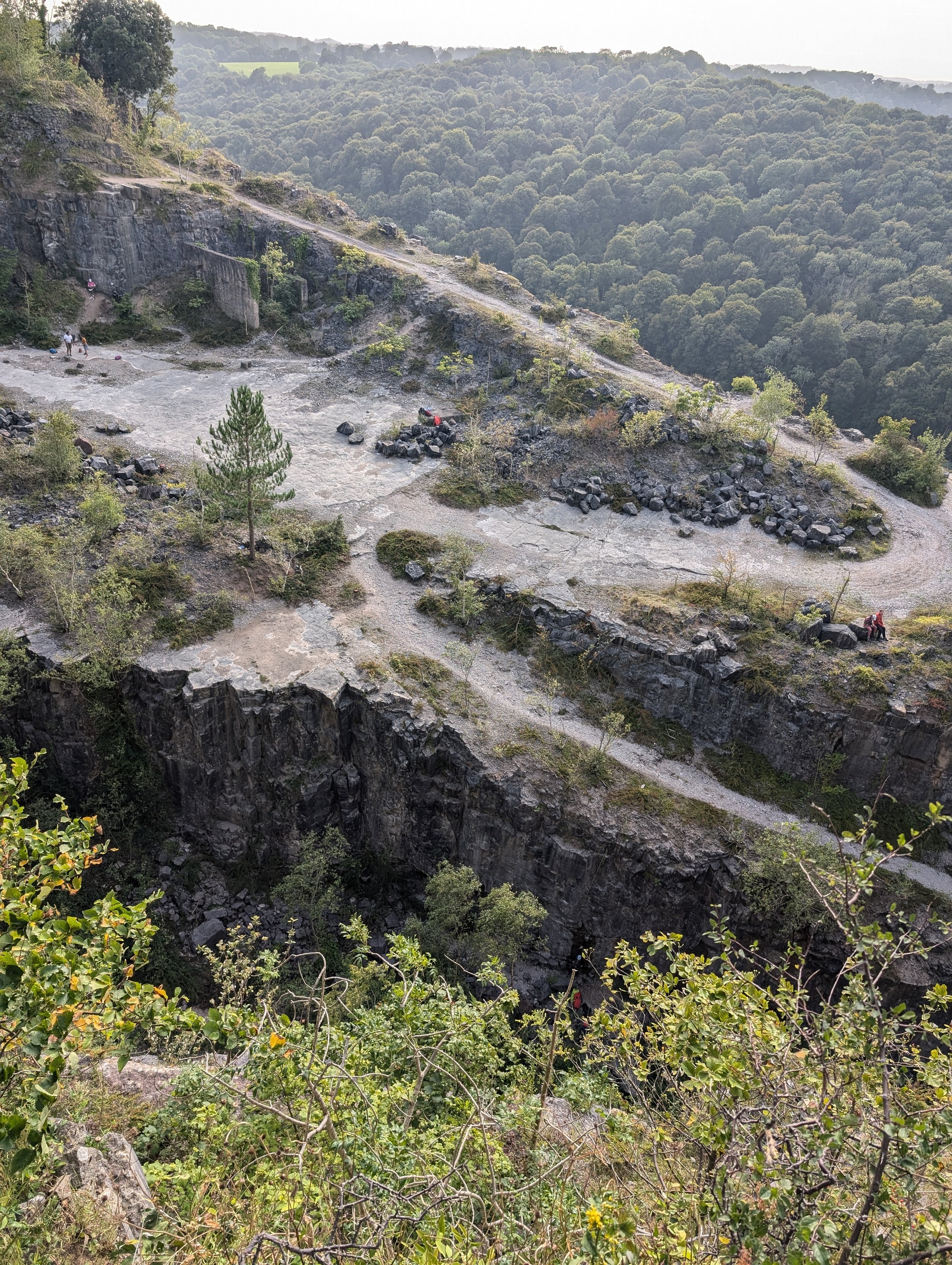 PXL_20240826_162204382 - Durre Shahwar.jpg