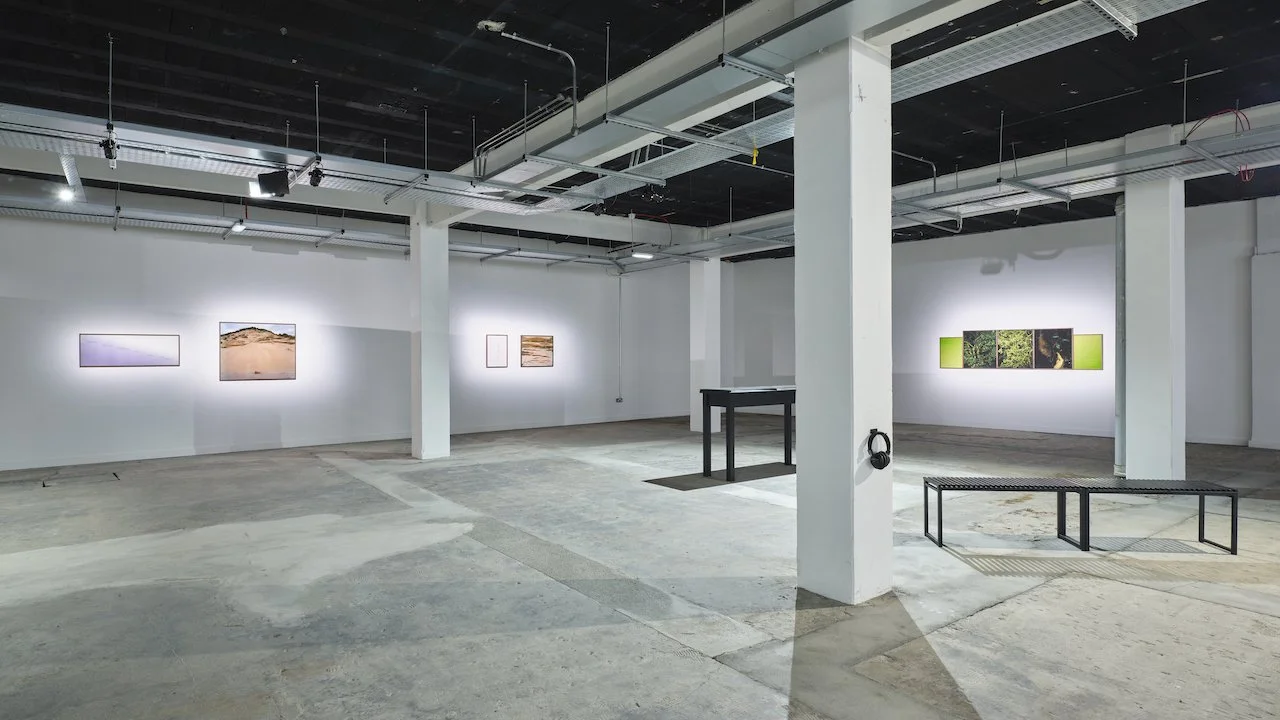 Curator's Gallery Tour: Beulah Ezeugo