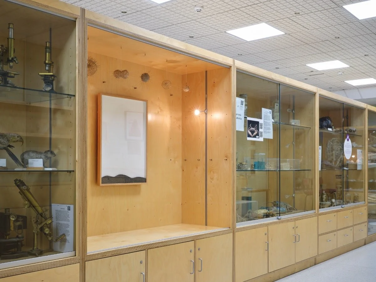 TULCA 2025 | Zoology &amp; Marine Biology Museum