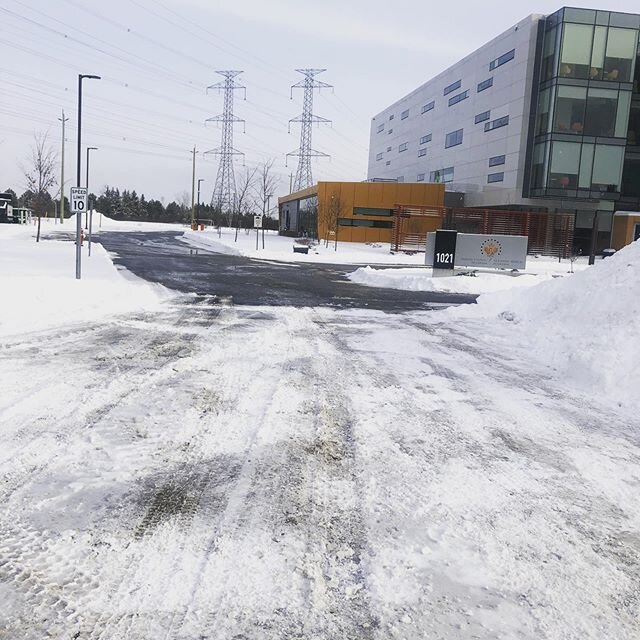 Great work by the Bernwood team! 20+ cm storm handled with ease, curb hunting, down to asphalt and ready for our clients to go to work! Thanks to the hard work from the team! Looking good. #bernwood #bernwoodlandscaping #winter #ottawa #winterstorm #