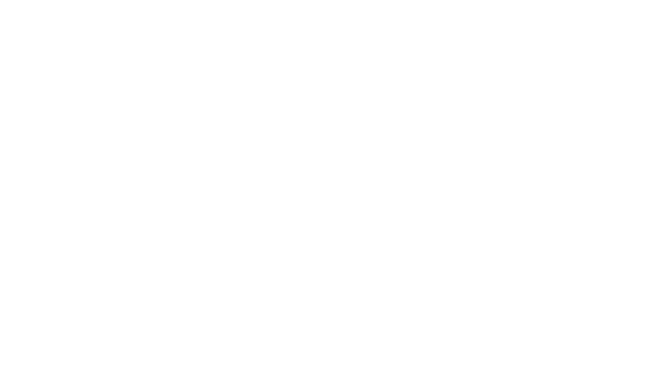 Sena Kozar Strategies