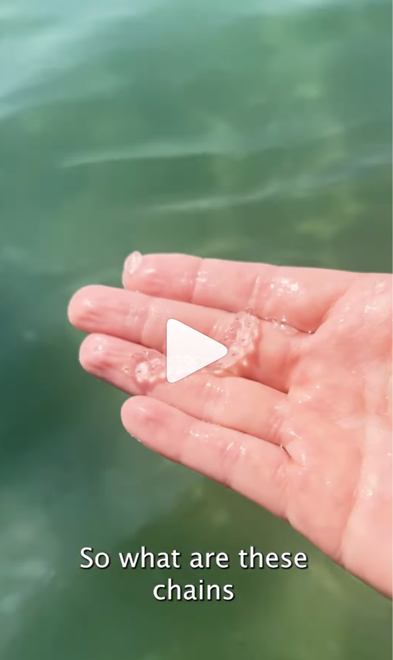 What are salps? (>3 Million Views)