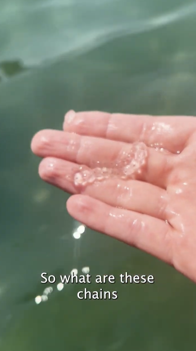 Salps (>3M views on Instagram Reels)