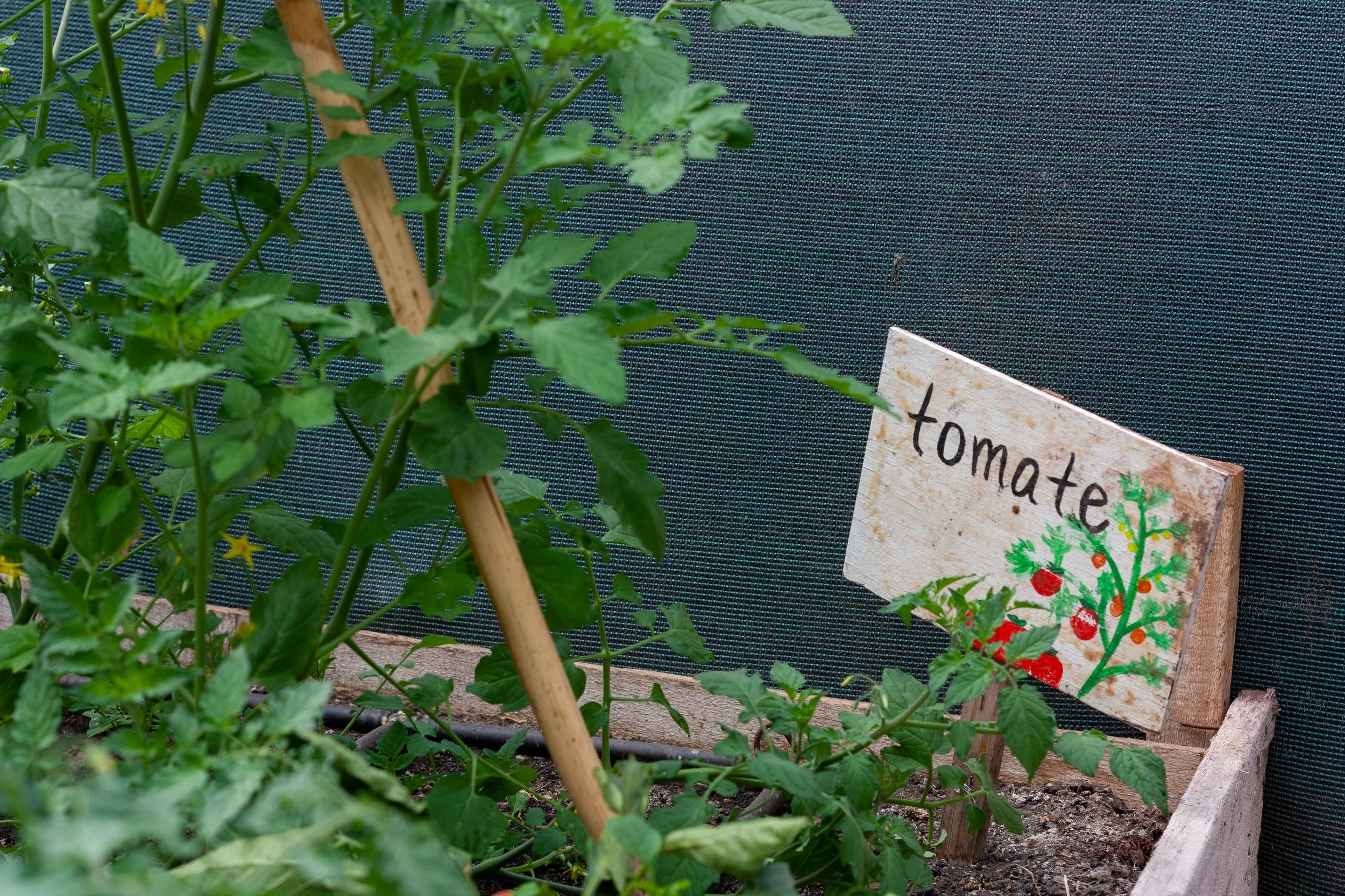 Copia de _MG_0264.jpg