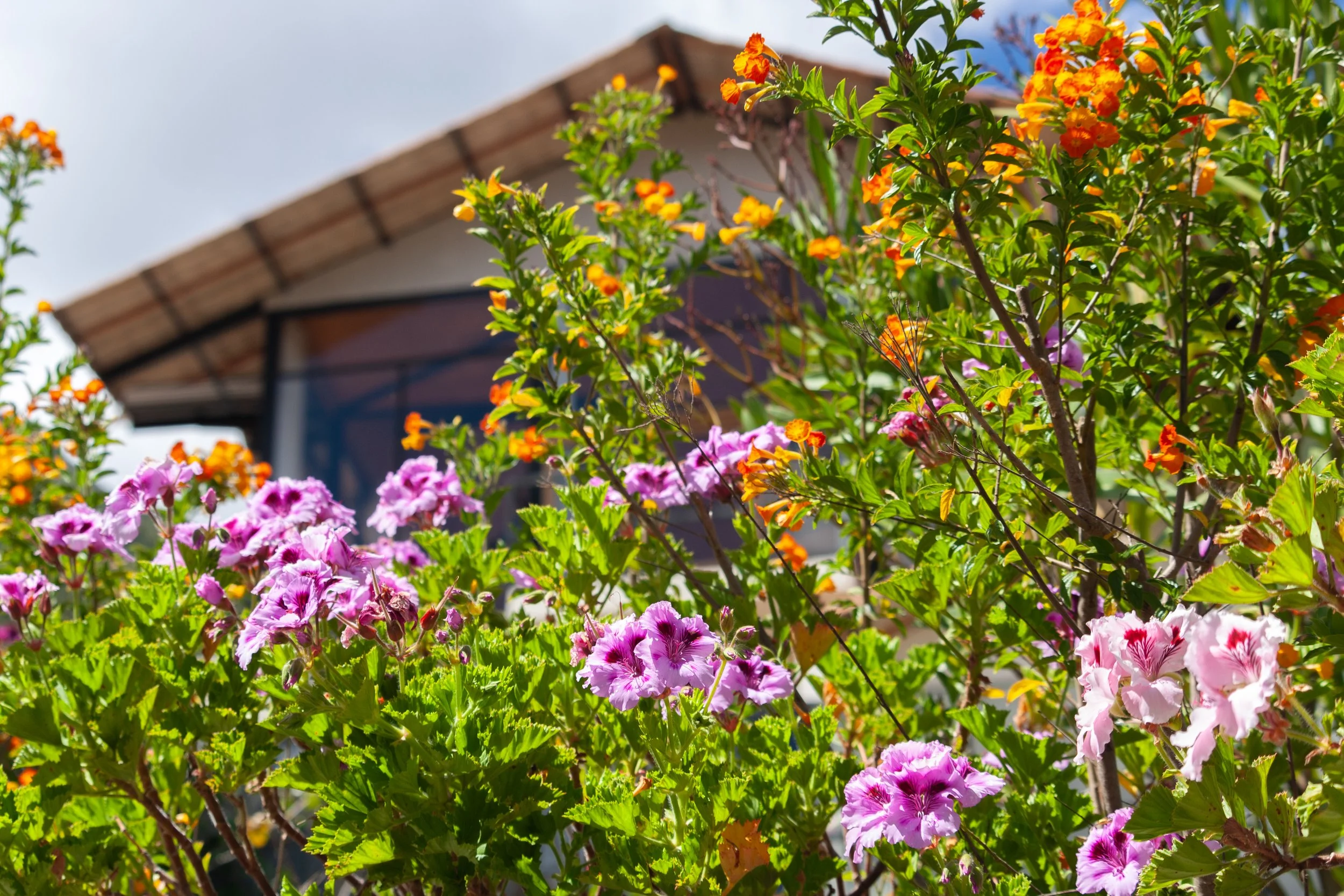 Copia de _MG_0459.jpg