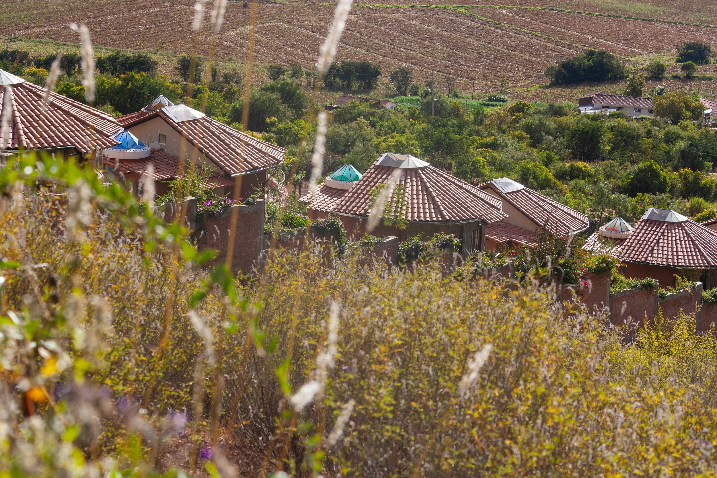 Copia de _MG_0703.jpg