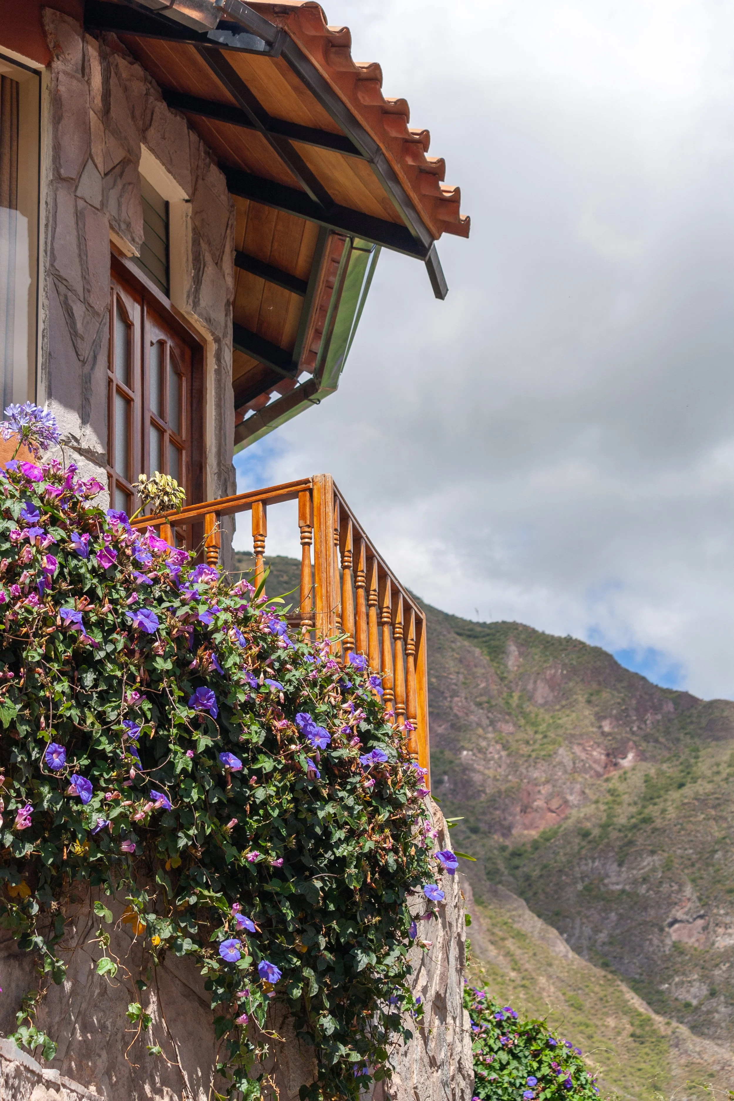 Copia de _MG_0435.jpg