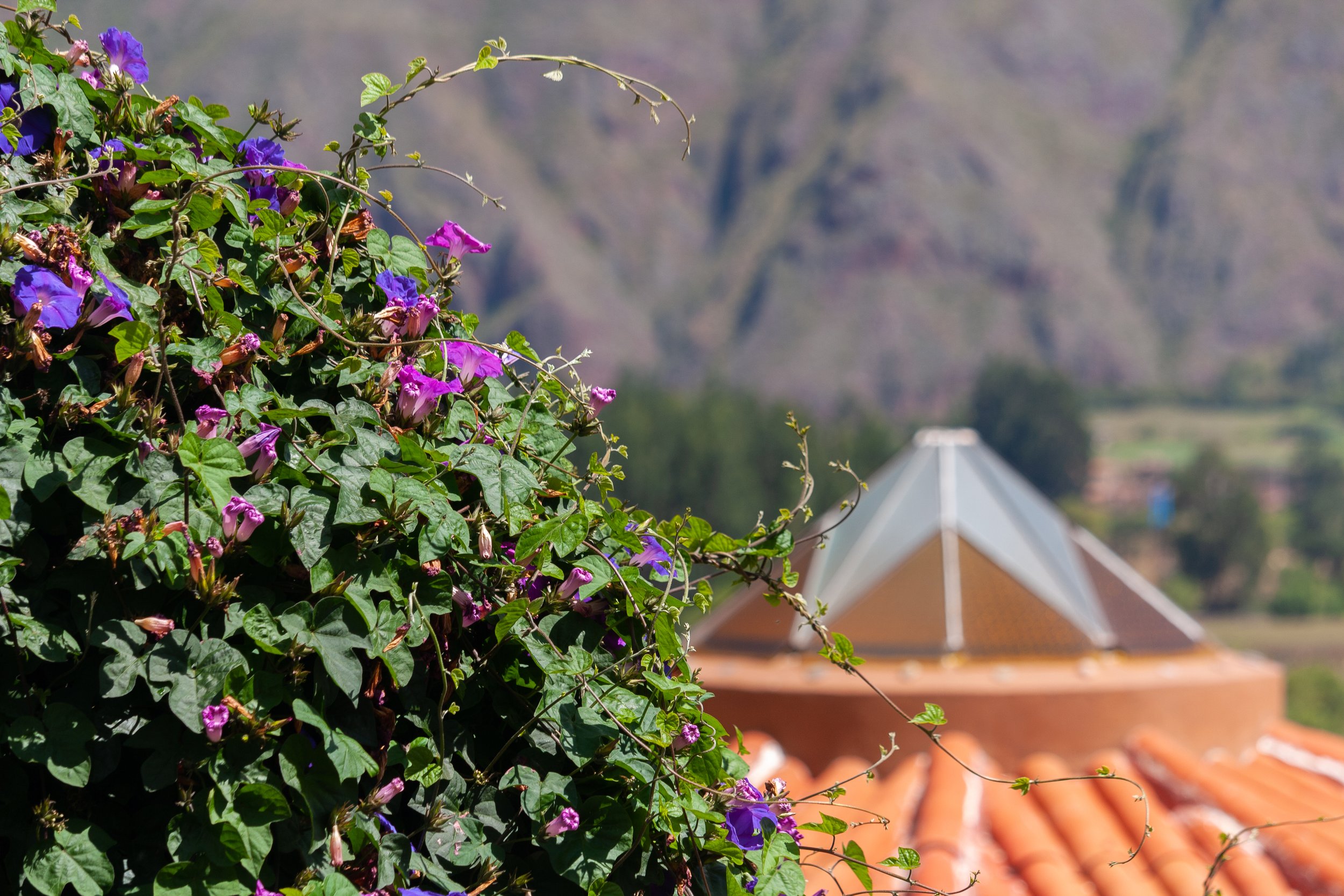 Copia de _MG_0440.jpg