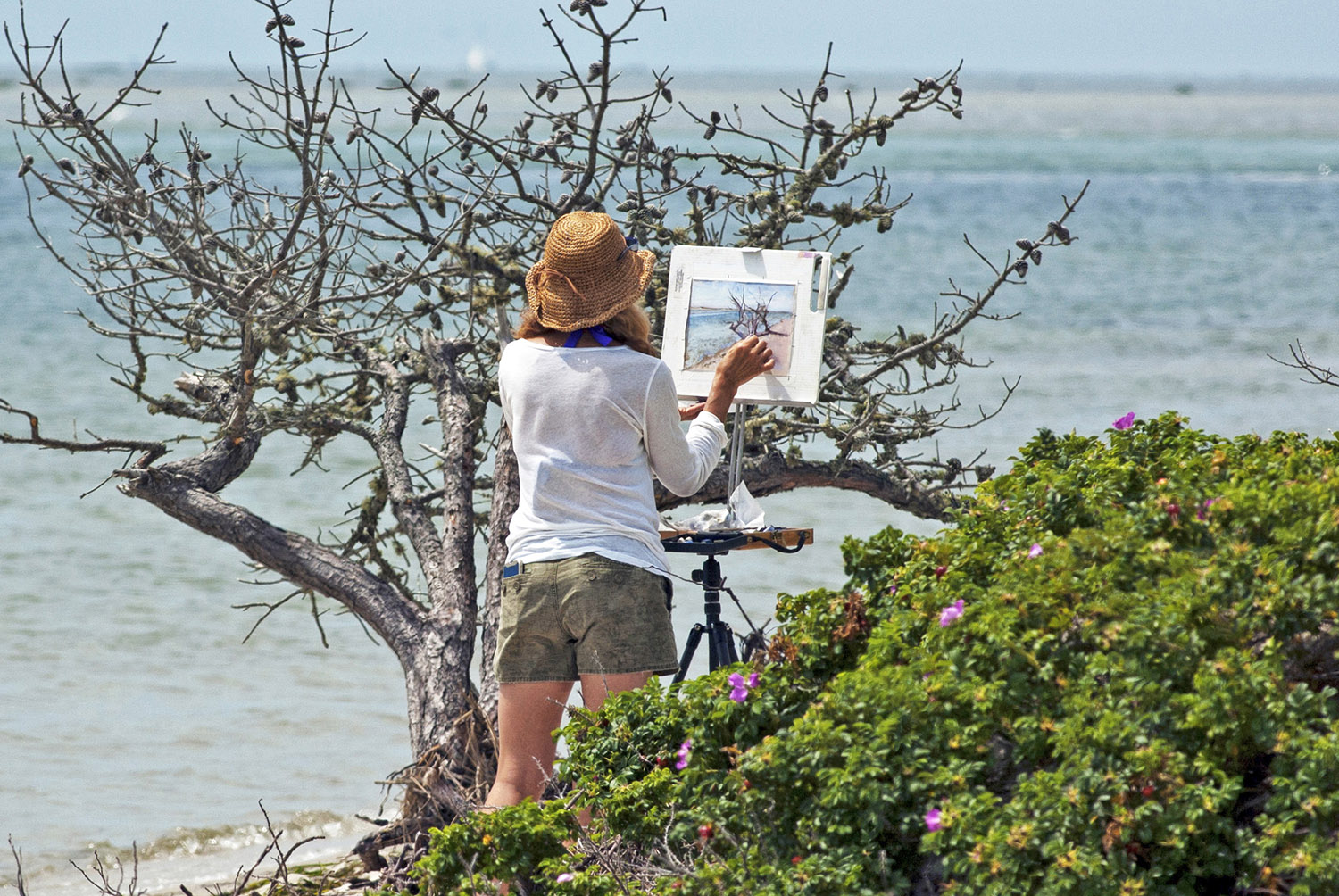 Artist_Painting_Pastels_Cape_Cod_Beach_Woman_Plein-Air.jpg