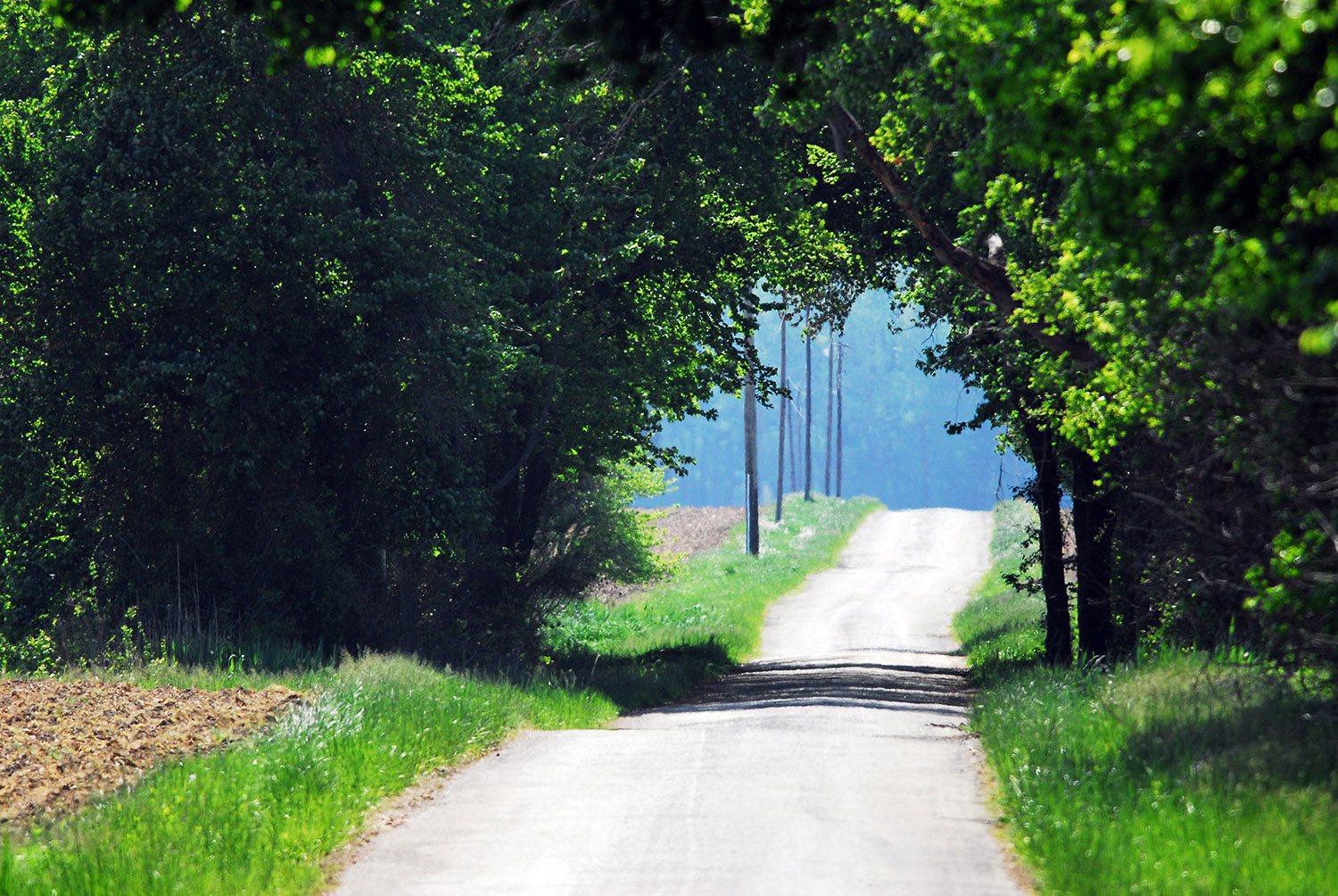 Country_Road_Kent_County_Delaware_Trees_Entrance.jpg