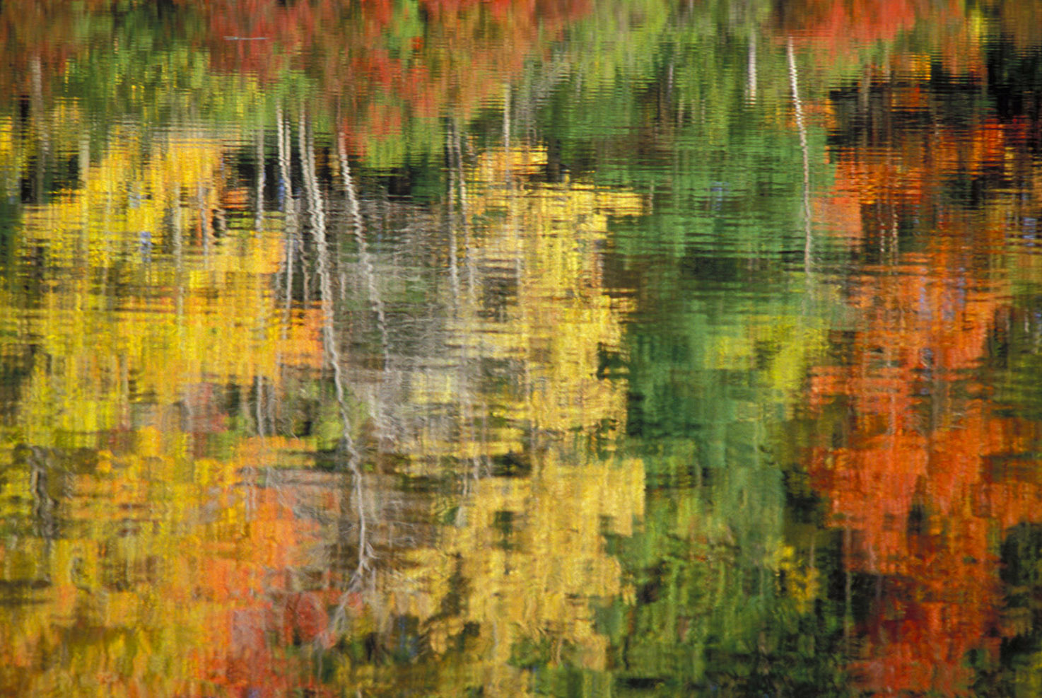 Fall_Autumn_Leaves_Foliage_Water_Trees_Reflection_Egypt_Meadow_Lake_Pennsylvania.jpg