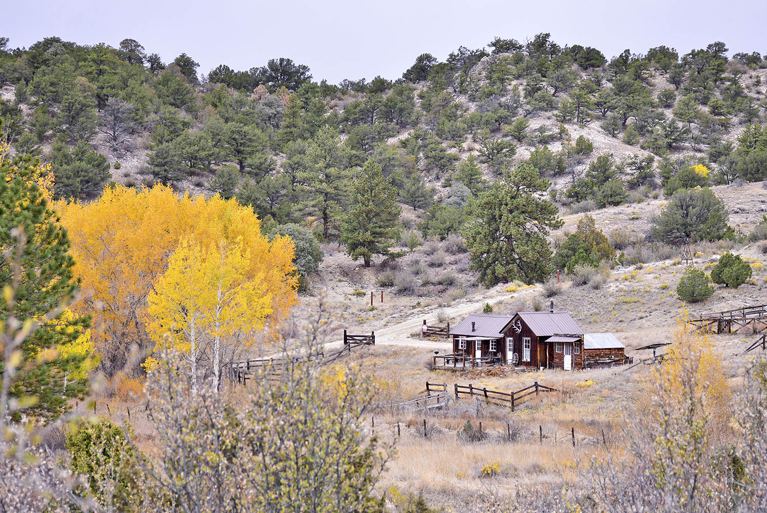 Ranch_Autumn_Aspen_High_Desert_Colorado.jpg