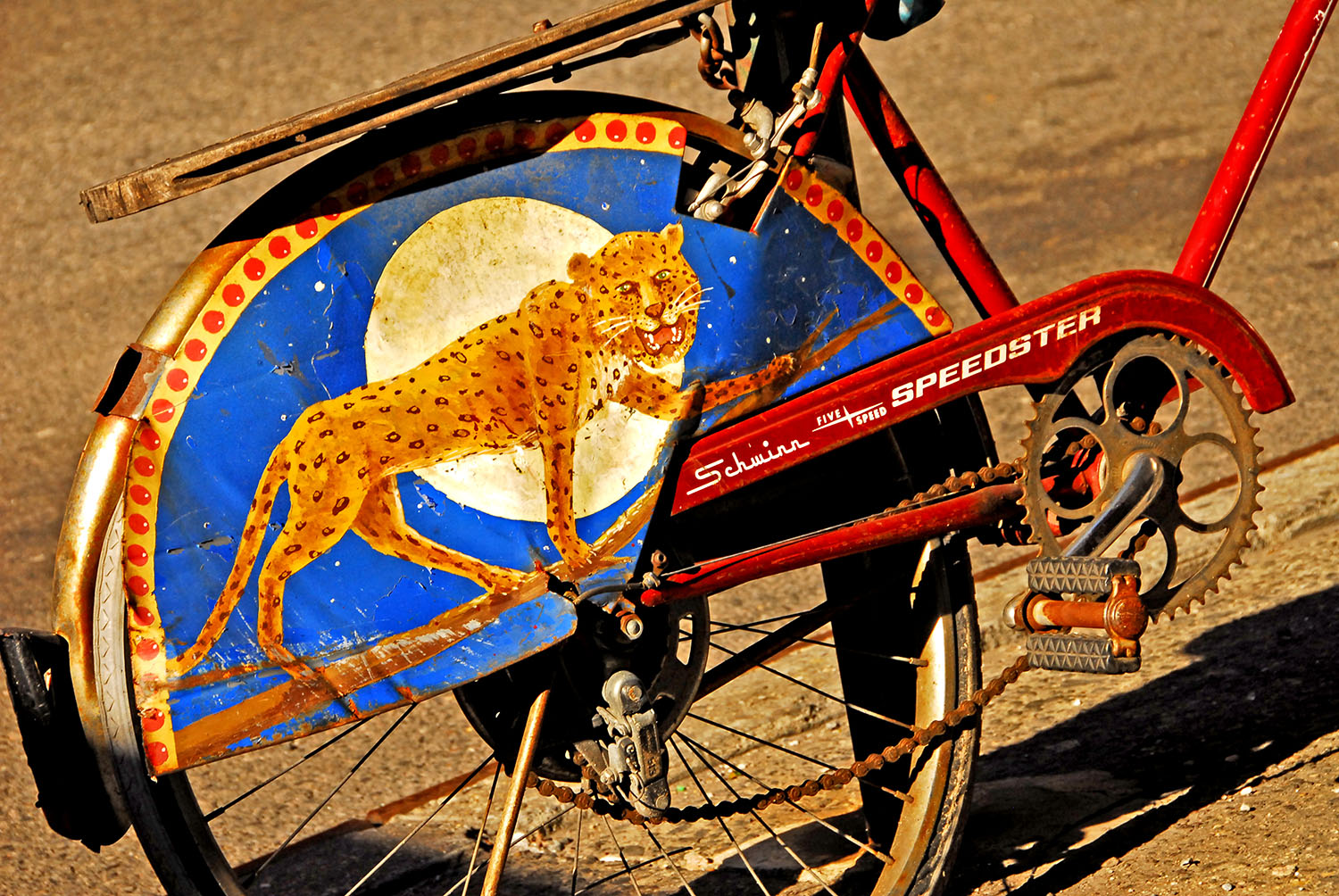 Schwinn_Speedster_FiveSpeed_Bicycle-Leopard_Wheelguard_Rusty.jpg